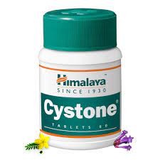 HIMALAYA CYSTONE